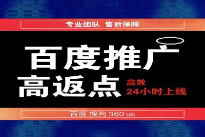 百度SEO推广公司案例分析：成功案例解析